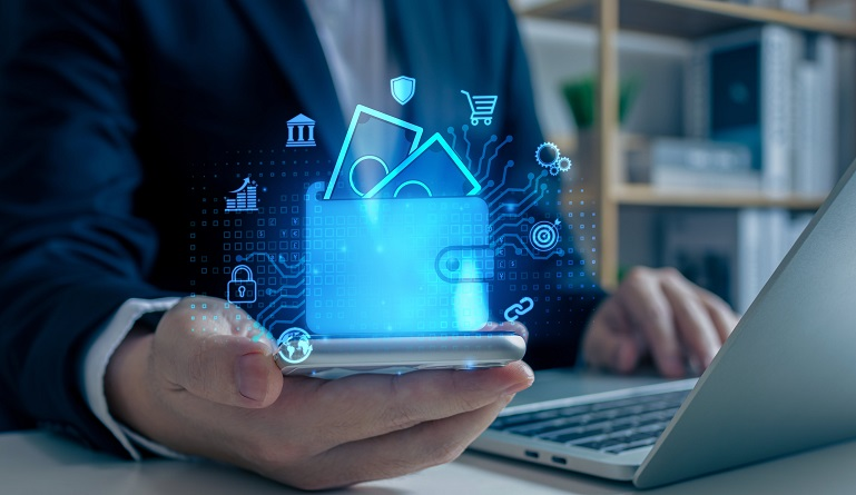 Digital Payments Businesses